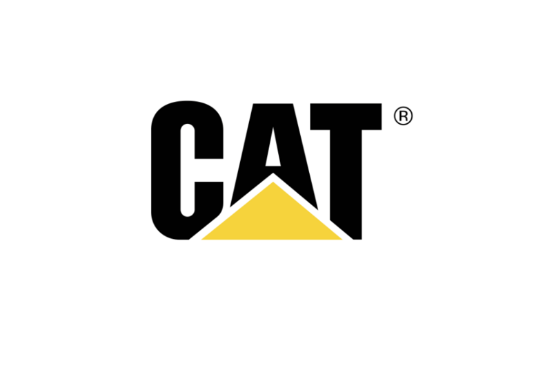 Cat Work Shoes