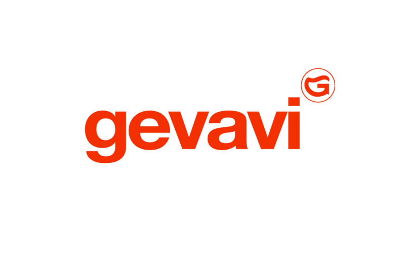 Gevavi Work Shoes
