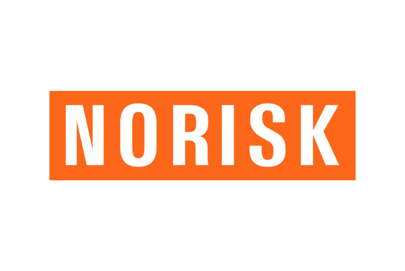 No Risk Work Shoes