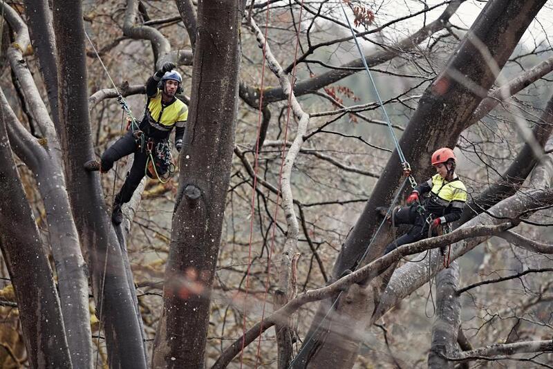 Fall Protection
