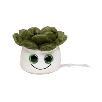 Mbw MBW160849 Schmoozies® Evergreenies® Succulent