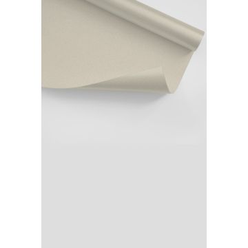 Labelfree ST2456 Canvas Fabric 420 gsm