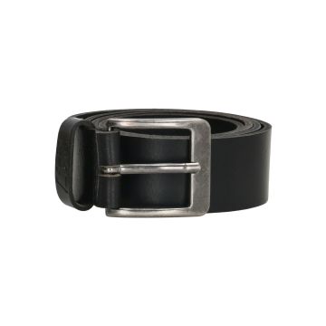 247Jeans Buffalo Belt 900