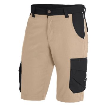 FHB 130530 THEO Bermuda - Bruin