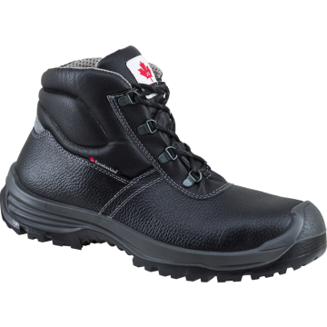 Canadian Line Alex 36357 Hoog + KN S3