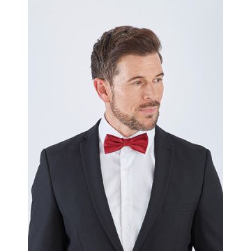 TYTO TT904 Satin Bow Tie