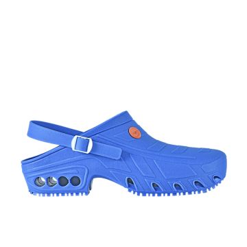 Oxypas 072204 OXYCLOG