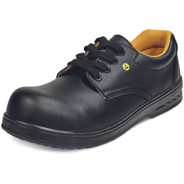 CERVA 02010367 RAVEN ESD O1 SRC laag